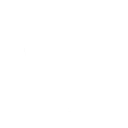 Root